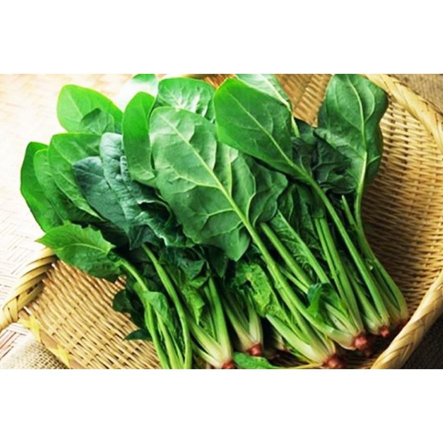 Hạt Giống Cải Bó Xôi F1 Loại dễ trồng, năng suất cao, kháng sâu bệnh