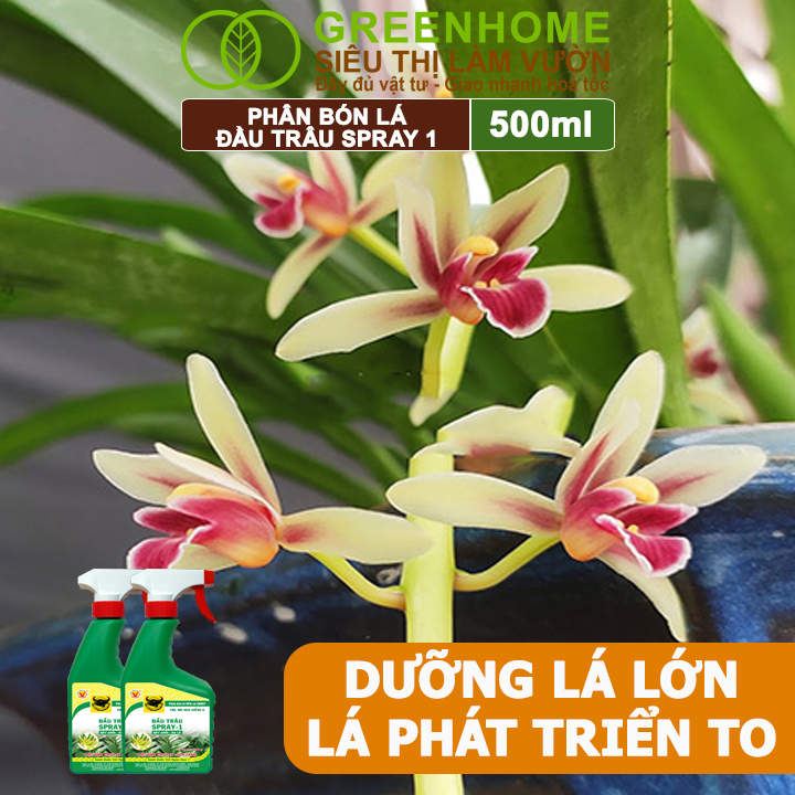 Phân Bón Lá Đầu Trâu Spray-1 Greenhome, Bình Điền, Chai 500ml, Nảy Chồi Ra Lá, Chuyên Lan Và Hoa Kiểng