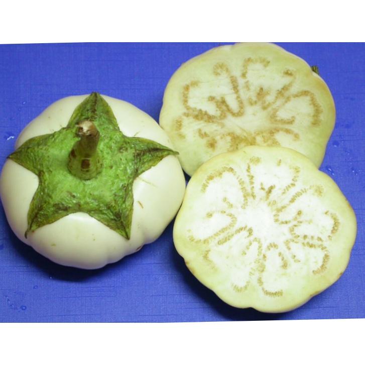 Hạt giống Cà pháo Trắng F1 cao sản .