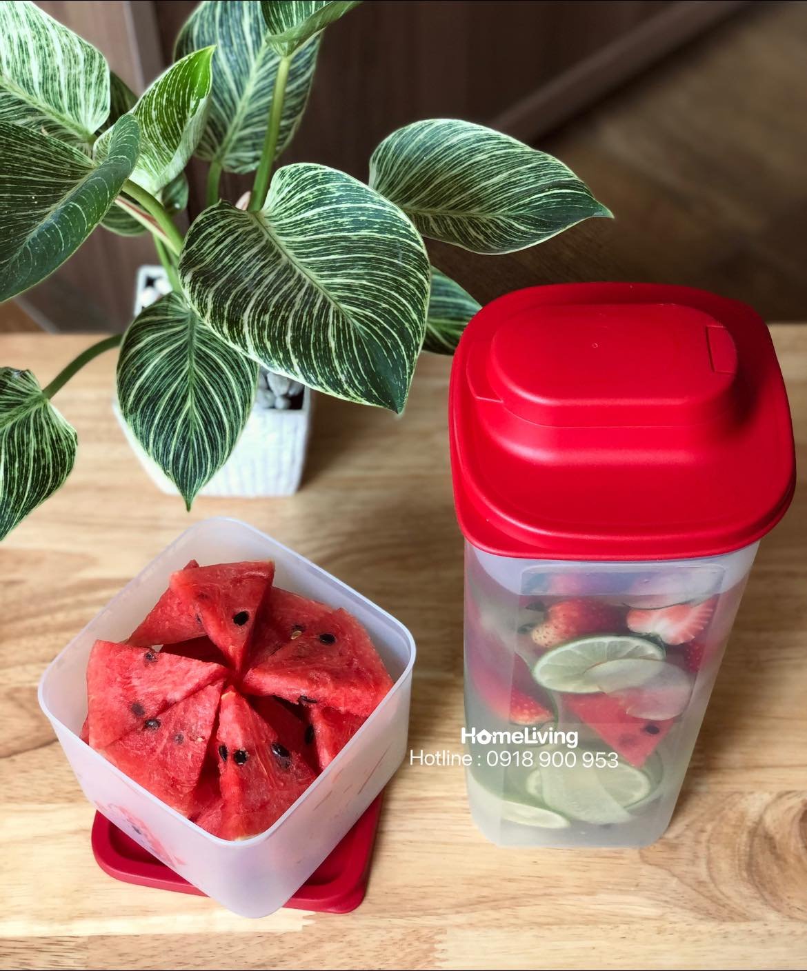 Bộ Tupperware Memberkit Tasty Set Gen II