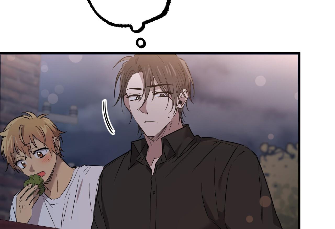 những chú thỏ của hapypy chapter 57 224