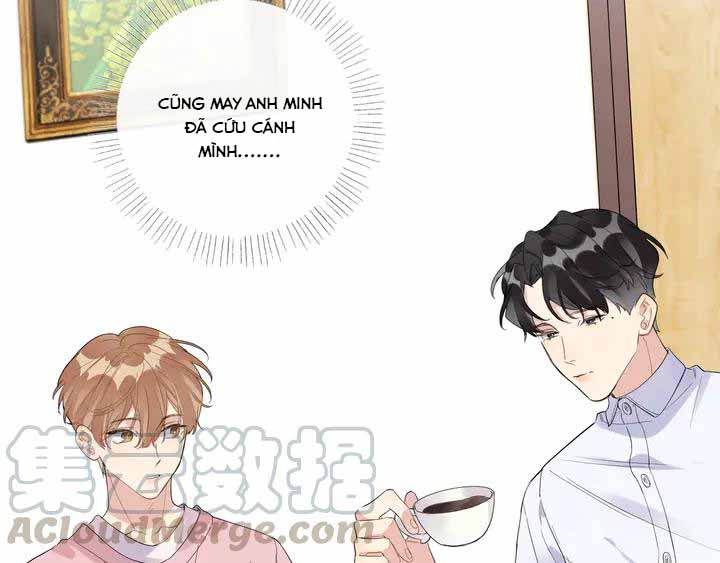 Minh Nhật Tinh Trình chapter 36