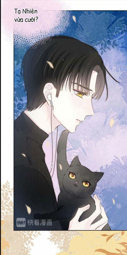 nỗi buồn của hoa cẩm tú cầu chapter 16 19