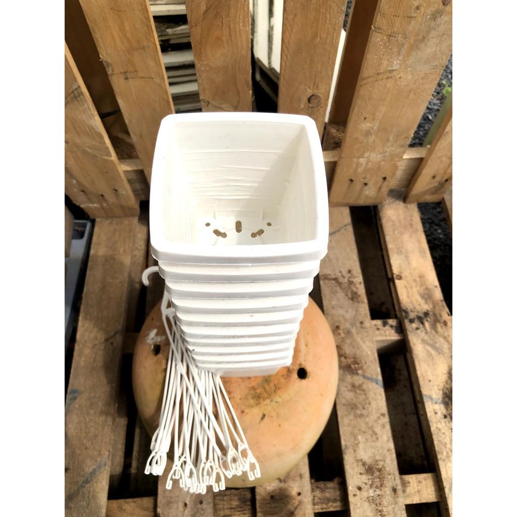Bộ 10 chậu nhựa treo trồng cây kích thước 10 x 9 cm
