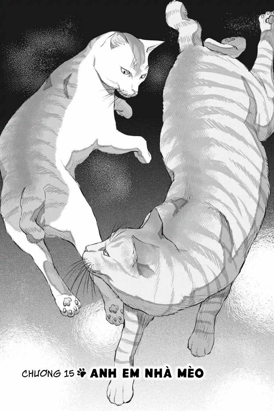 nyankees chapter 15 2