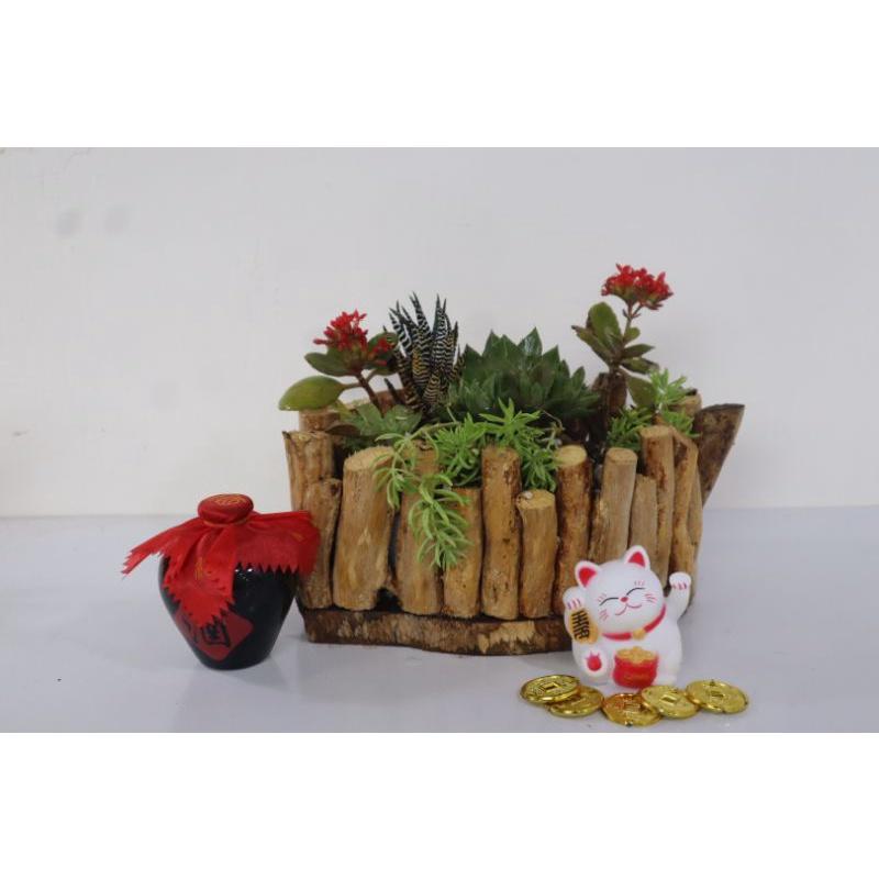 Chậu miệng bằng ghép rễ cây cắm hoa,trồng sen đá,hoa cảnh