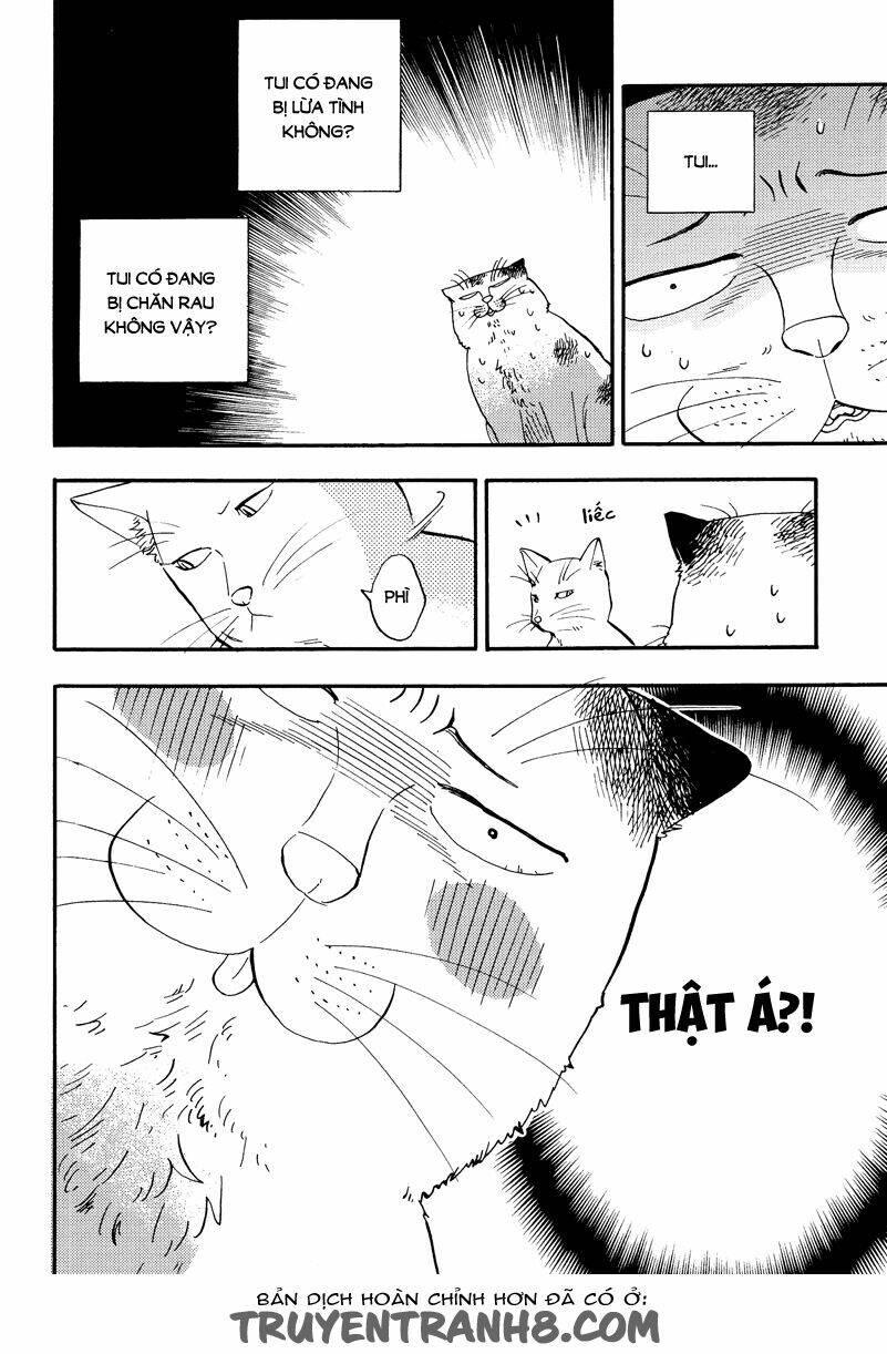 tui là busamen! chapter 3 7