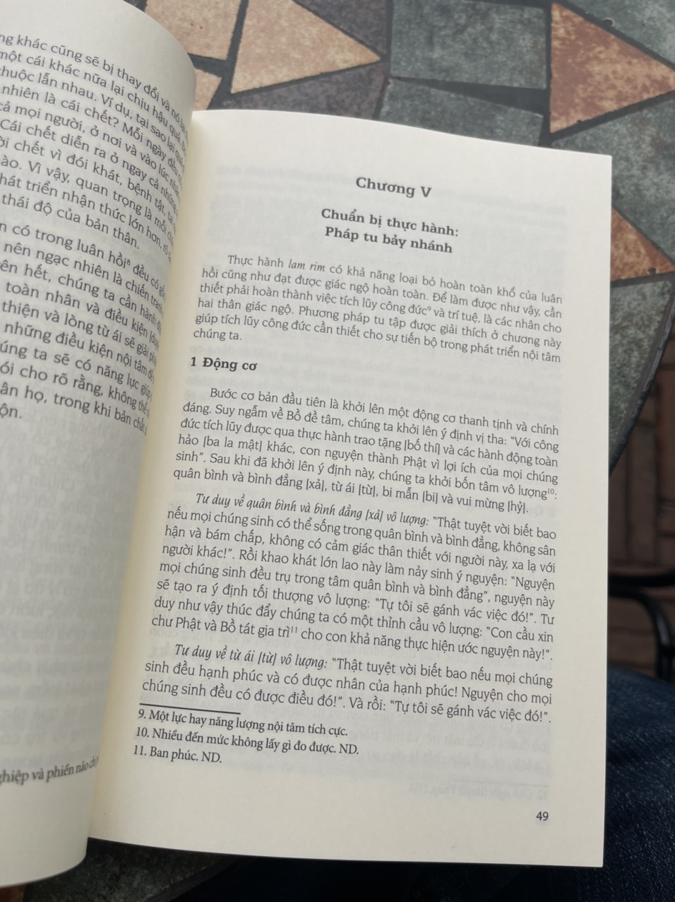 TRÍ TUỆ ĐỨC PHẬT – Cách đạt an bình thật sự – Tôn Sư Lama Thamthog Rinpoche – Tuệ Tri Books – NXB Tôn Giáo