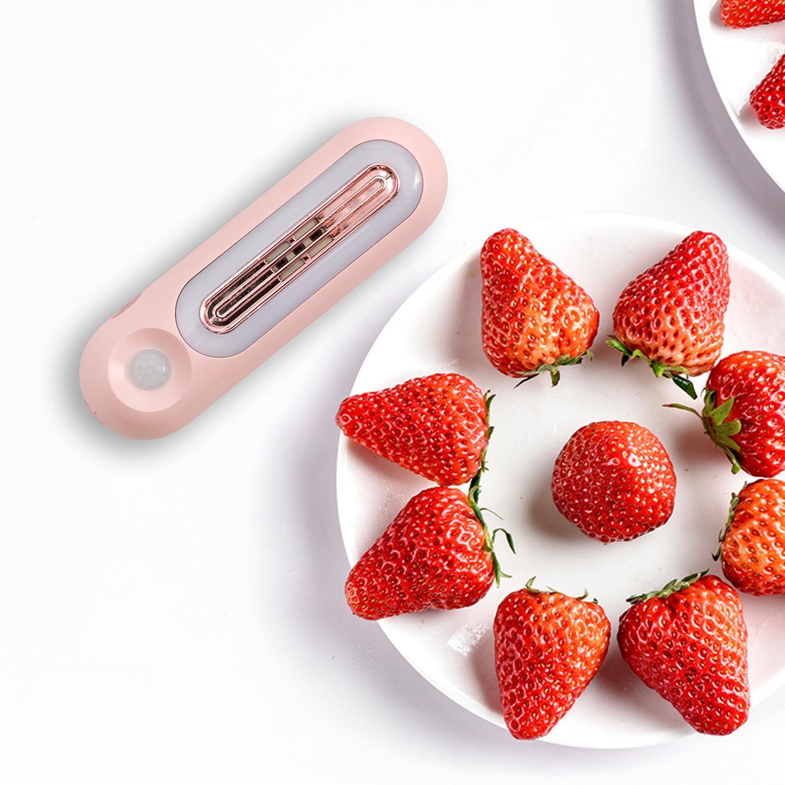 Refrigerator Deodorizing Sterilizer O3 Ozone Generator Air Purifier for Fridge