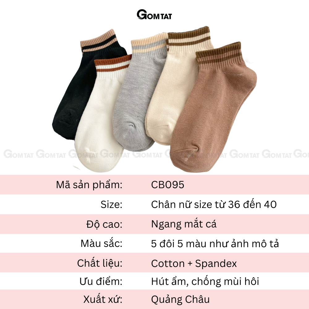 Set 5 đôi tất cổ ngắn nữ GOMTAT cổ sọc ngang nhiều màu, vớ nữ cổ ngắn chất liệu cotton mềm mại thoáng mát - CB095