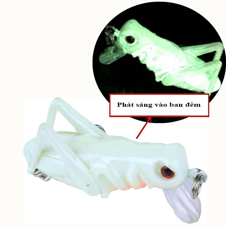 Bộ 5 Mồi Dế Giả Câu Lure 2