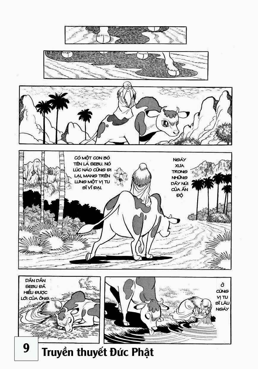 buddha - truyền thuyết đức phật chapter 41 10