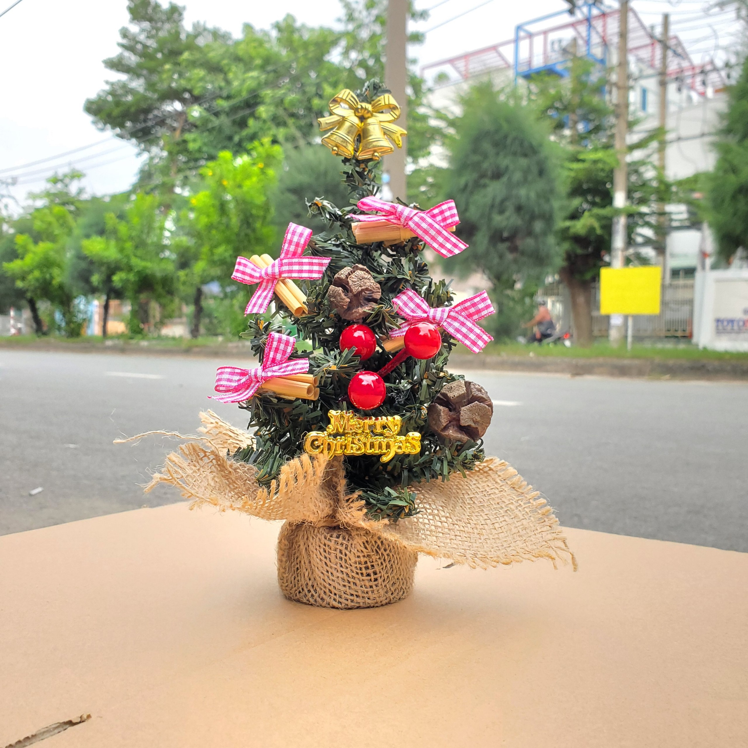 Cây Thông Nhí TNM10 Cây 20cm Trang Trí Giáng Sinh Cây Thông Noel