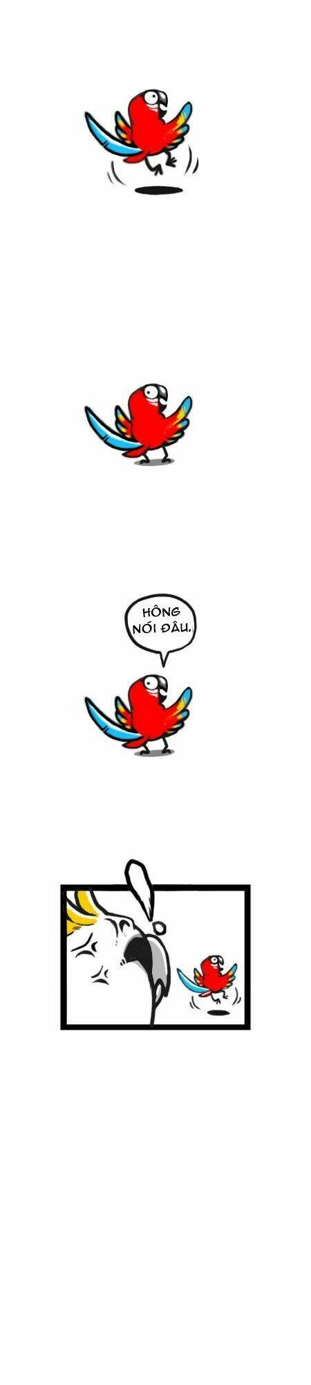 earth, human, and animal chapter 11 10