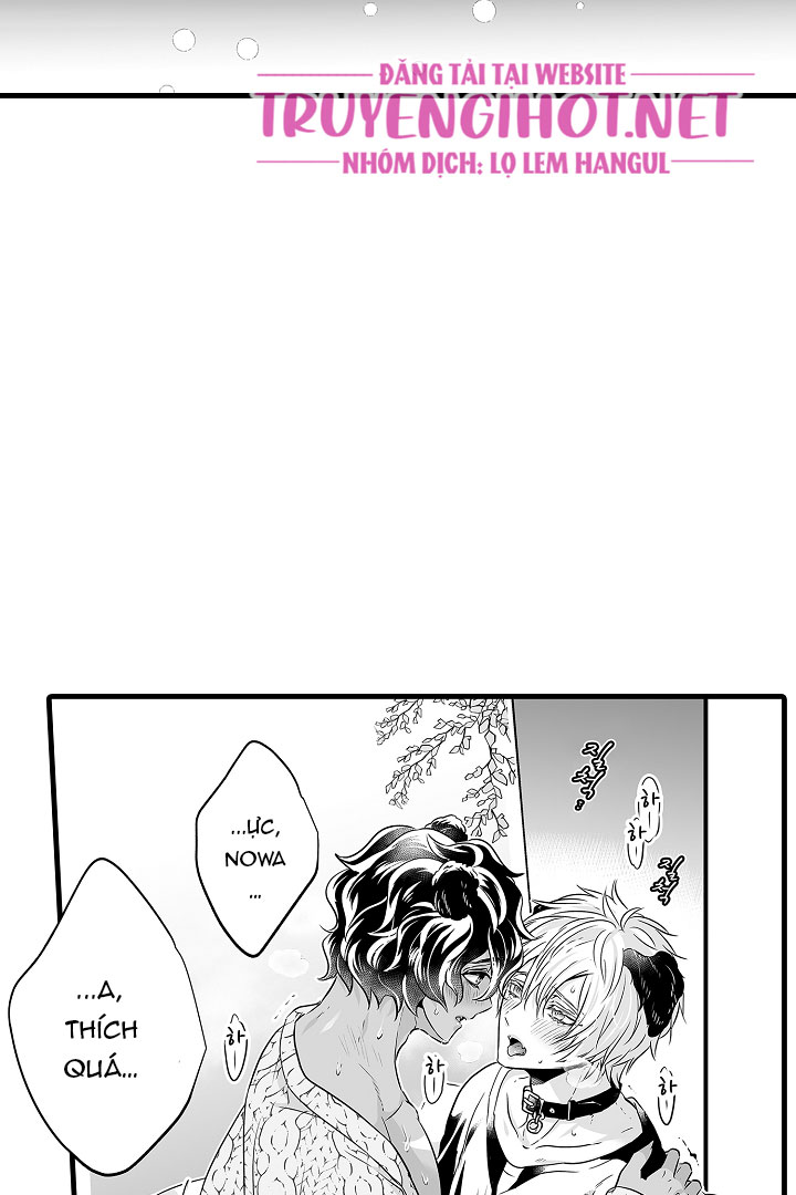 gấu ngủ đông chapter 12.1 13