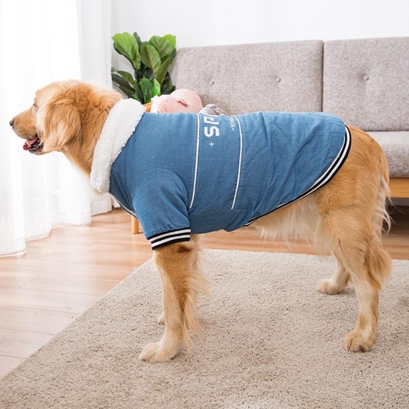Áo nỉ, áo lông cho chó từ 15-35kg (phù hợp với tất cả dòng chó to chó ta, golden, labrado,...)
