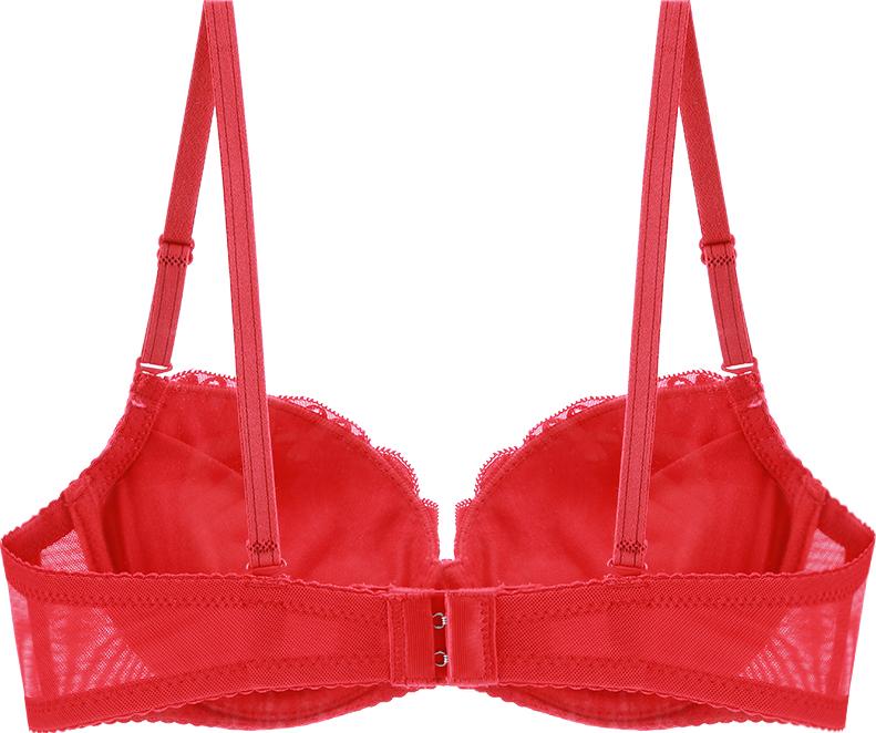 Áo Ngực Ren 12H C035 Mút Dày