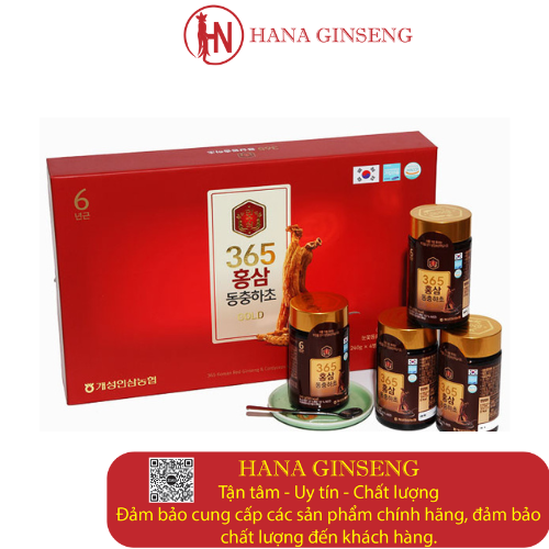 Cao hồng sâm đông trùng hạ thảo 365 Gold Hàn Quốc hộp 4 lọ - Quà tặng thượng hạng