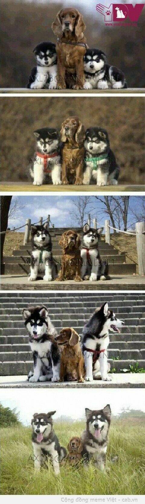 rage comic-troll chapter 45 11