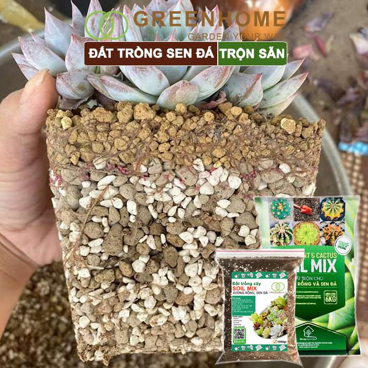 Đất Trồng Sen Đá Greenhome, Bao 6kg, Soil Mix, Trộn Sẵn, Tiện Lợi, Đầy Đủ Dinh Dưỡng, Thoát Nước Tốt, Cây Nhanh Lớn