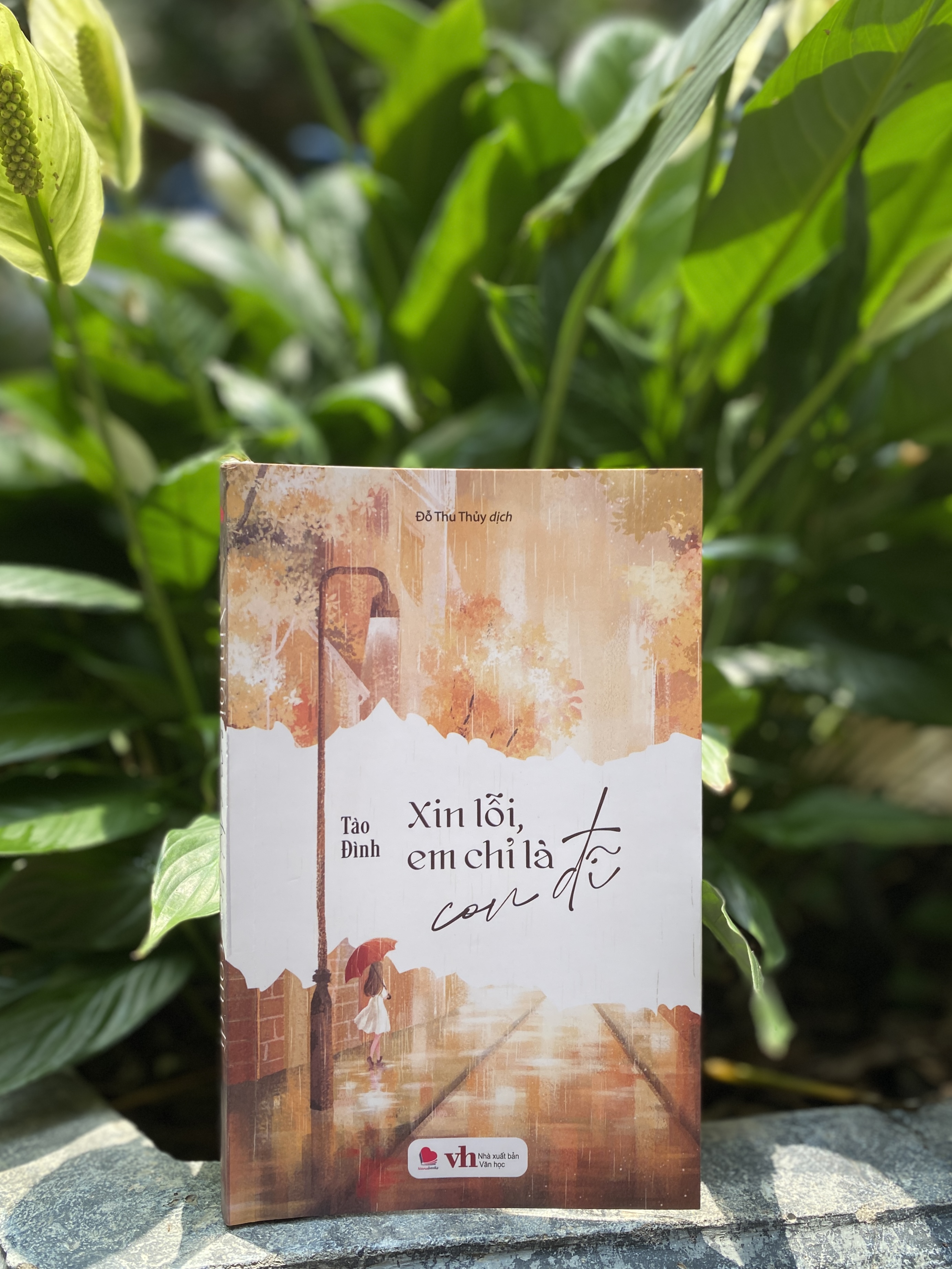 Sách - Xin lỗi em chỉ là CD - Tào Đình (tái bản 2024) - Bách việt
