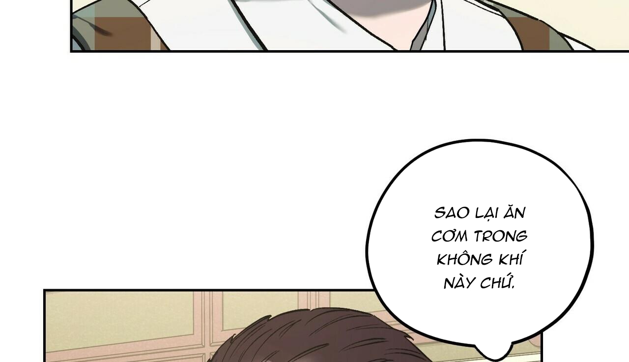 chàng dâu nhà họ kang chapter 24 66