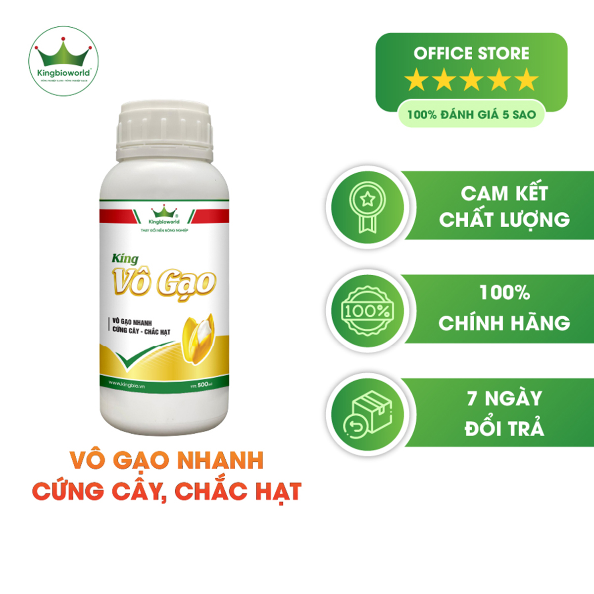 King vô gạo - vô gạo nhanh, cứng cây chắc hạt vỏ dầy màu sáng