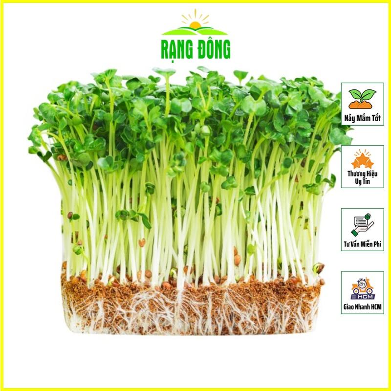 Hạt giống Rau Mầm Củ Cải Trắng Dễ Trồng, Nhanh Thu Hoạch - Hạt Giống Rạng Đông