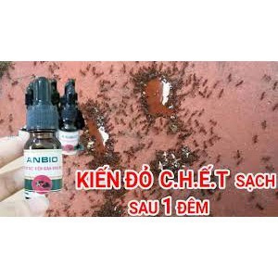 Thuốc diệt kiến sinh học anbio Chai 10ml An toàn hiệu quả Diệt tận gốc