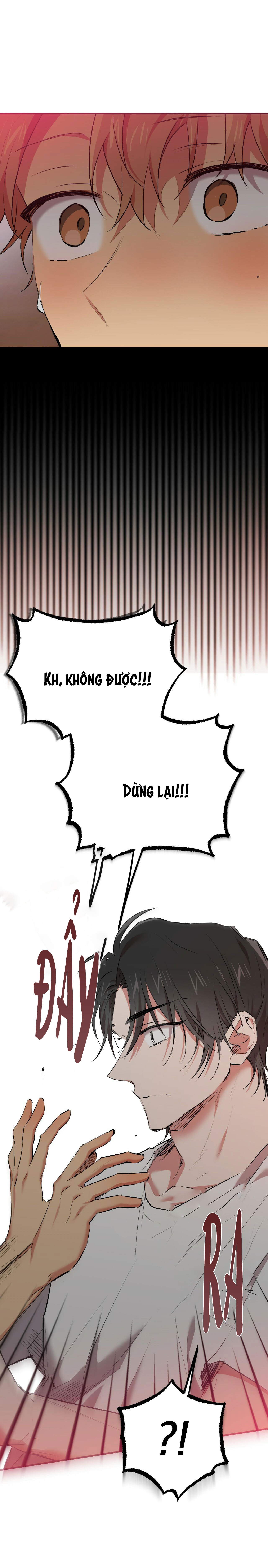 những chú thỏ của hapypy chapter 33 44