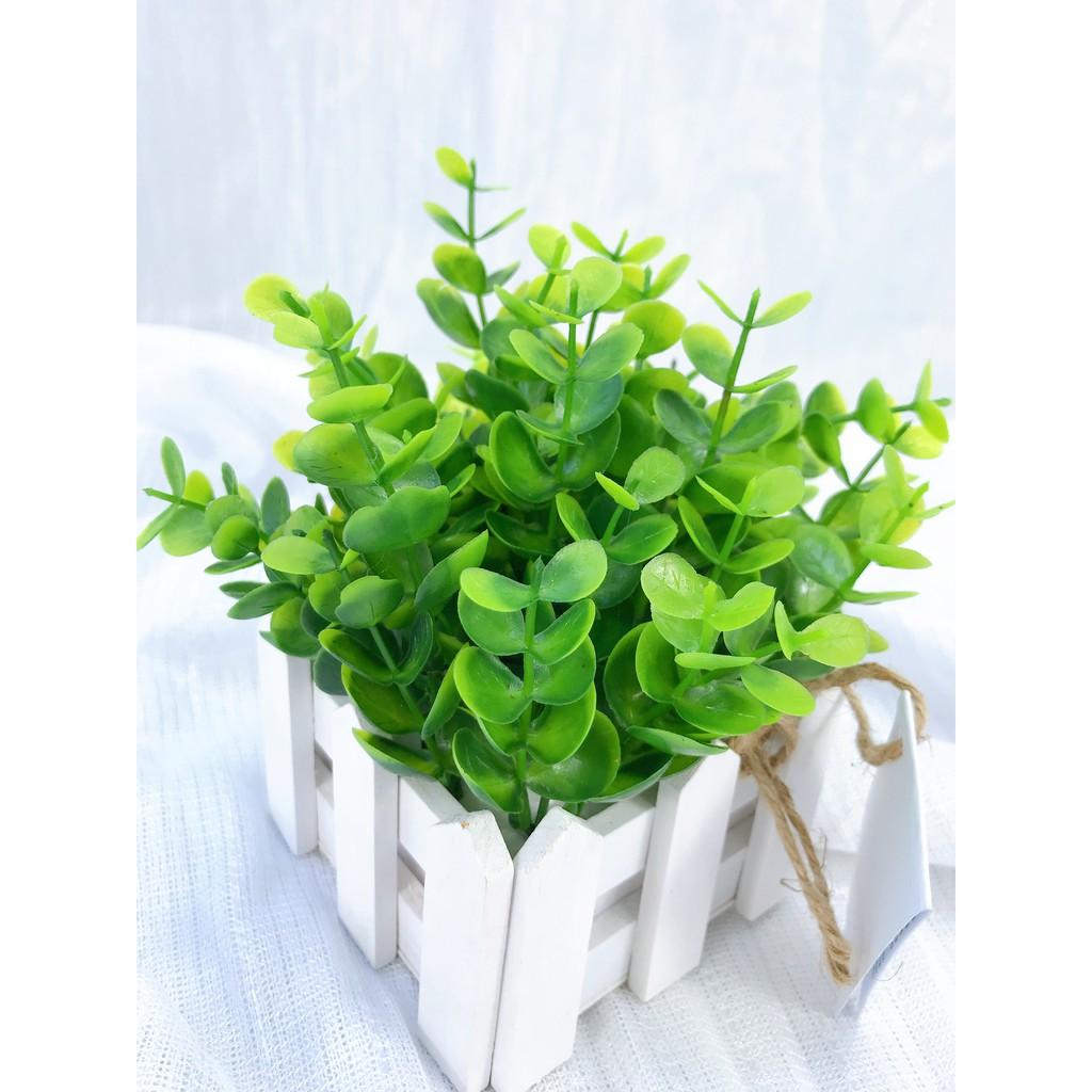 Cành Lá Ngâu giả cao 30cm, 6 nhánh - Cành điểm trang trí lọ hoa, lẵng hoa