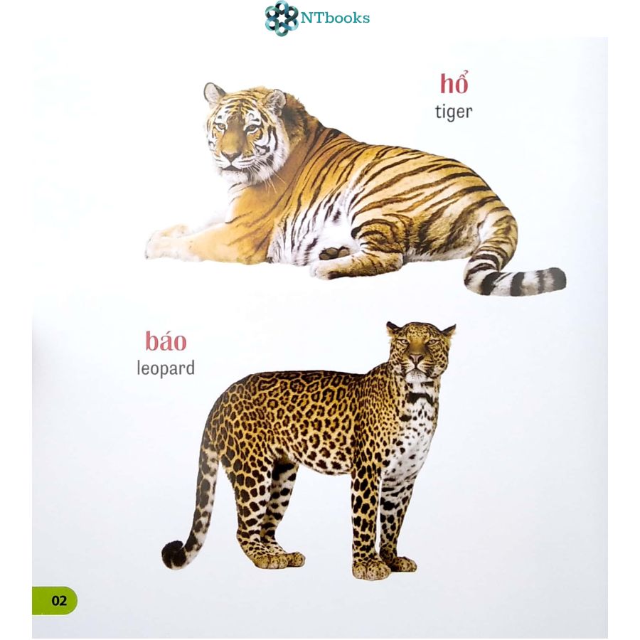 Sách 100 Từ Đầu Tiên Của Bé - Các Loài Vật