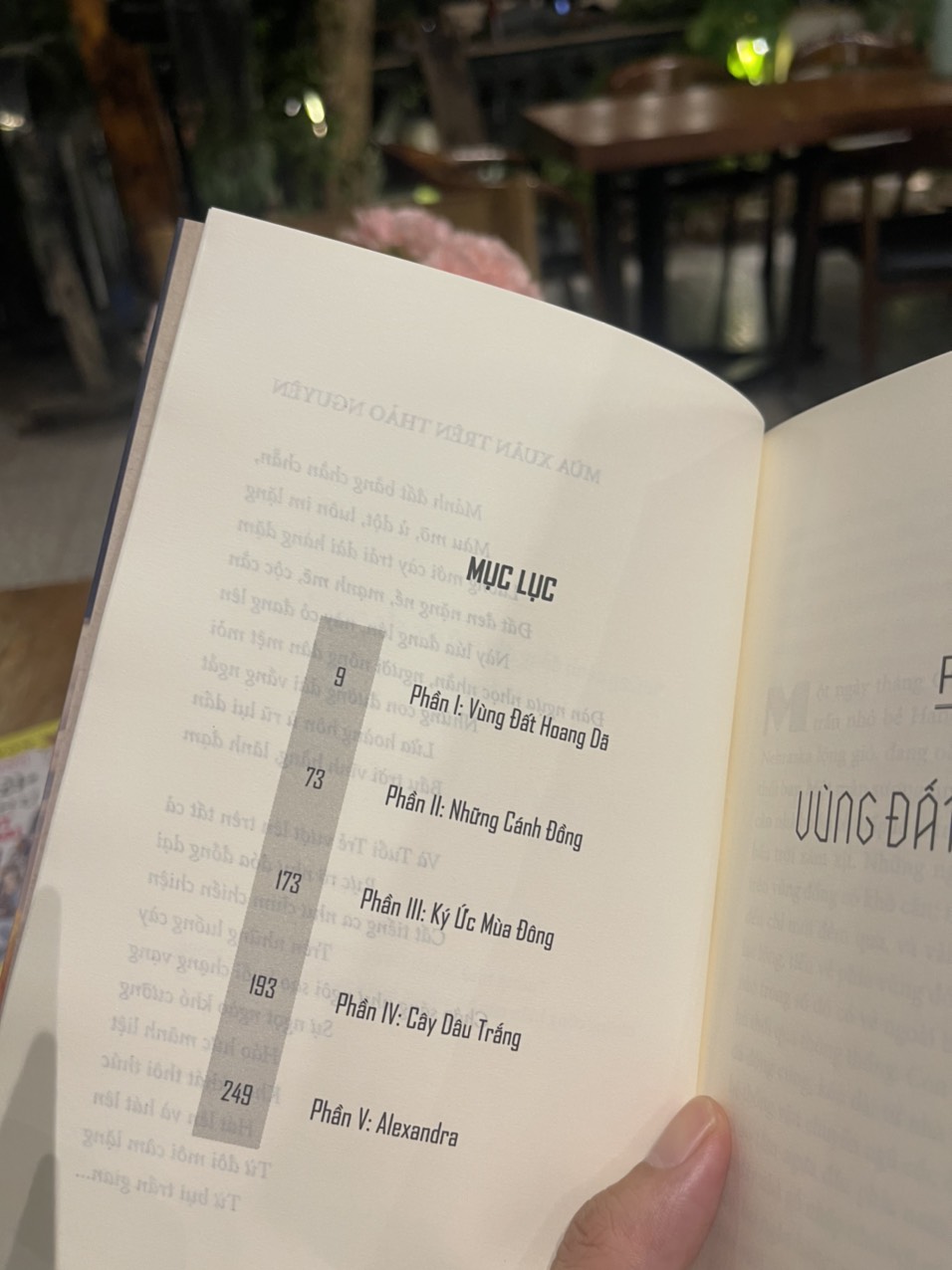 HỠI NHỮNG NGƯỜI TIÊN PHONG! – Willa Sibert Cather – Nguyễn Thuý Quỳnh dịch – Đông Tây – Nxb Văn Học