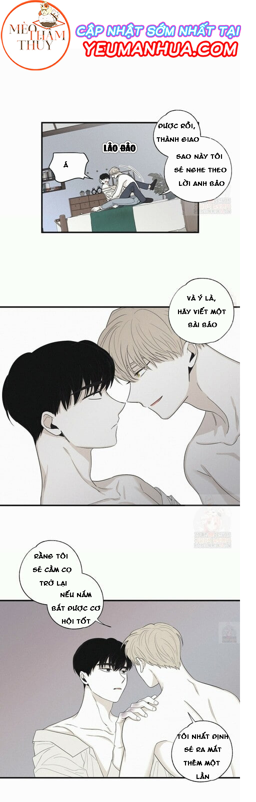 chiếu tướng chapter 16 22