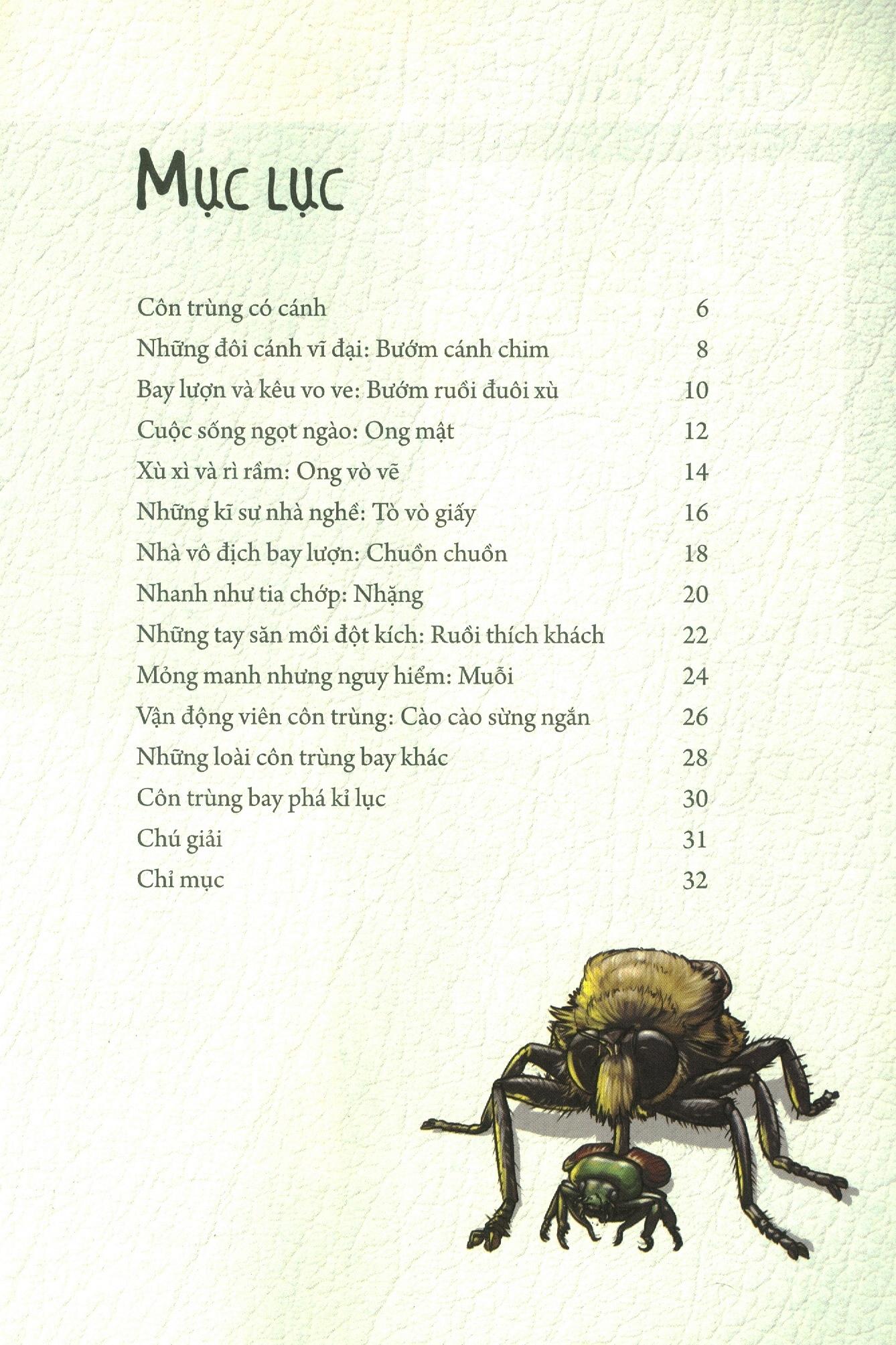Sách Những Loài Bọ Phá Kỷ Lục - Côn Trùng Có Cánh