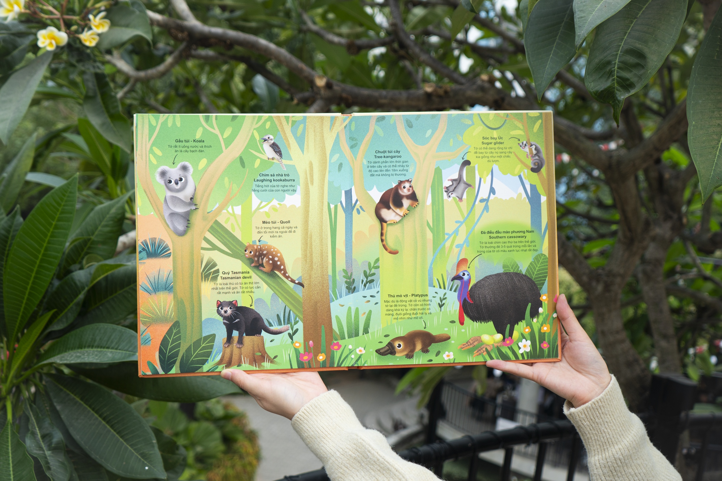 Cuốn sách khổng lồ về động vật hoang dã - Big book of wild animals - Đinh Tị Books