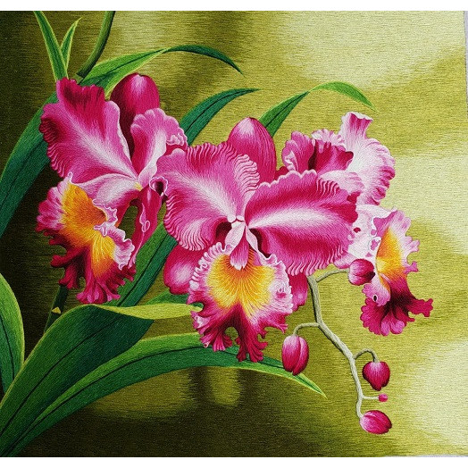 Lan hồ điệp 01 - pq730 - 52x54cm