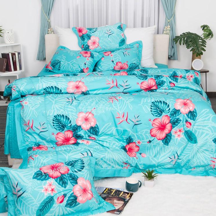 Bộ Chăn Ga Cotton In Edena 451- 5 món siêu đẹp