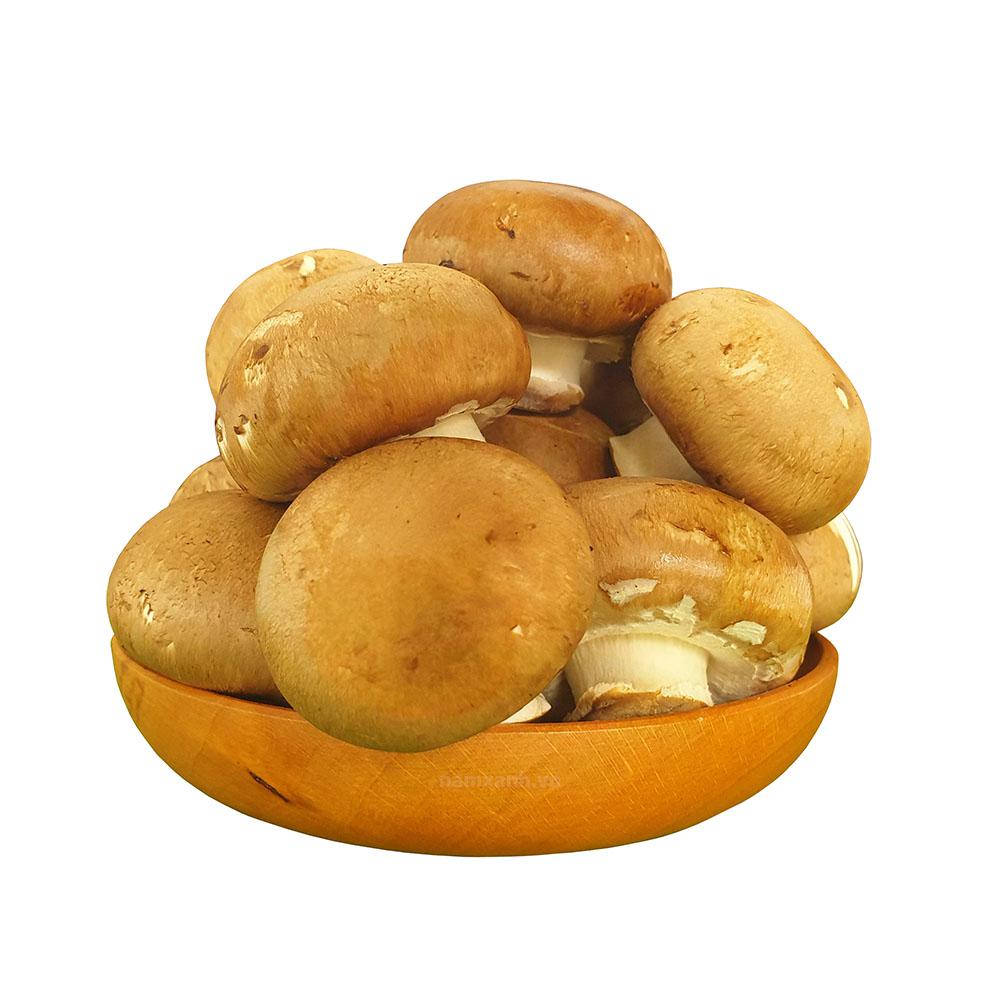 Nấm Mỡ Nâu Tươi 1kg Ngon Sạch - Nông Trại Nấm Xanh