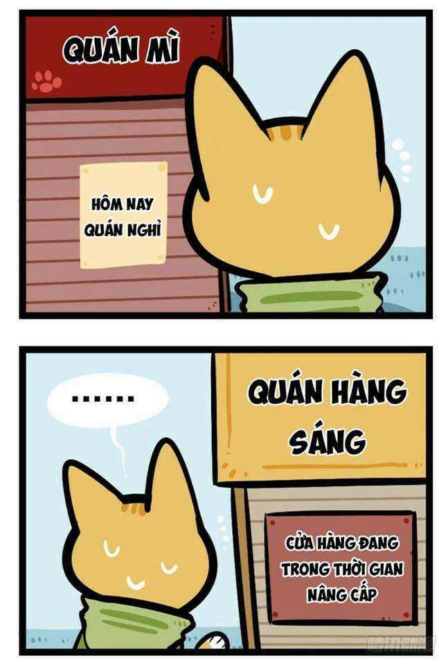 đời không như mình tưởng chapter 32 5