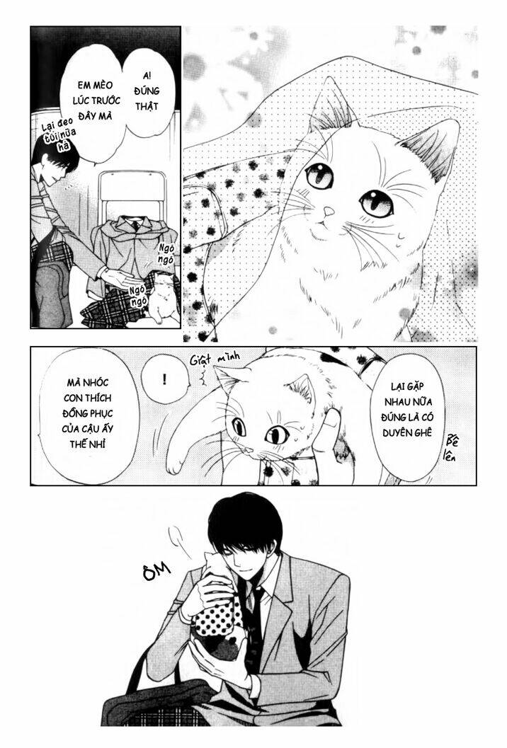 neko neko honey chapter 2 23