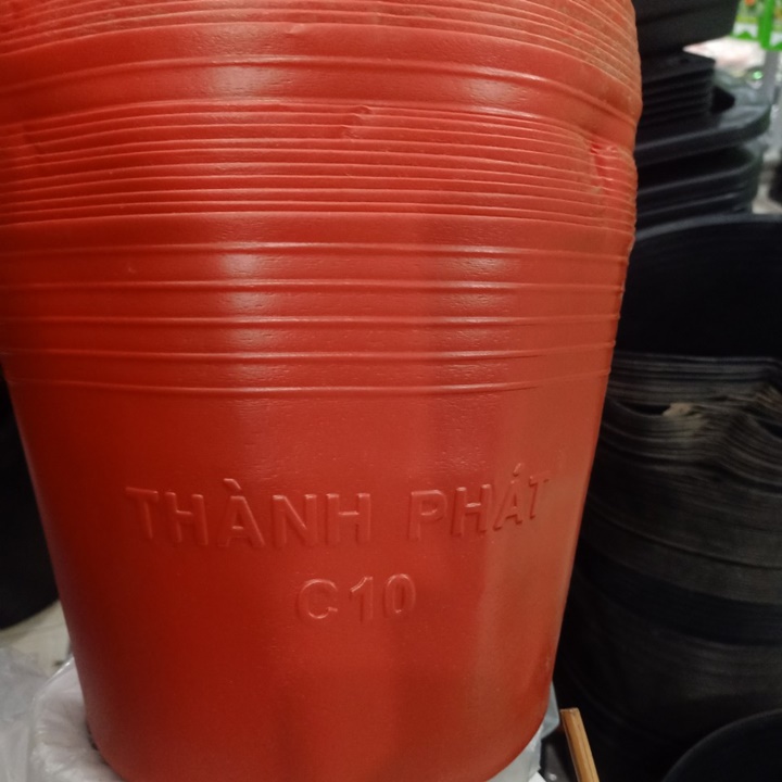 50 Chậu nhựa đỏ C10 250x200mm