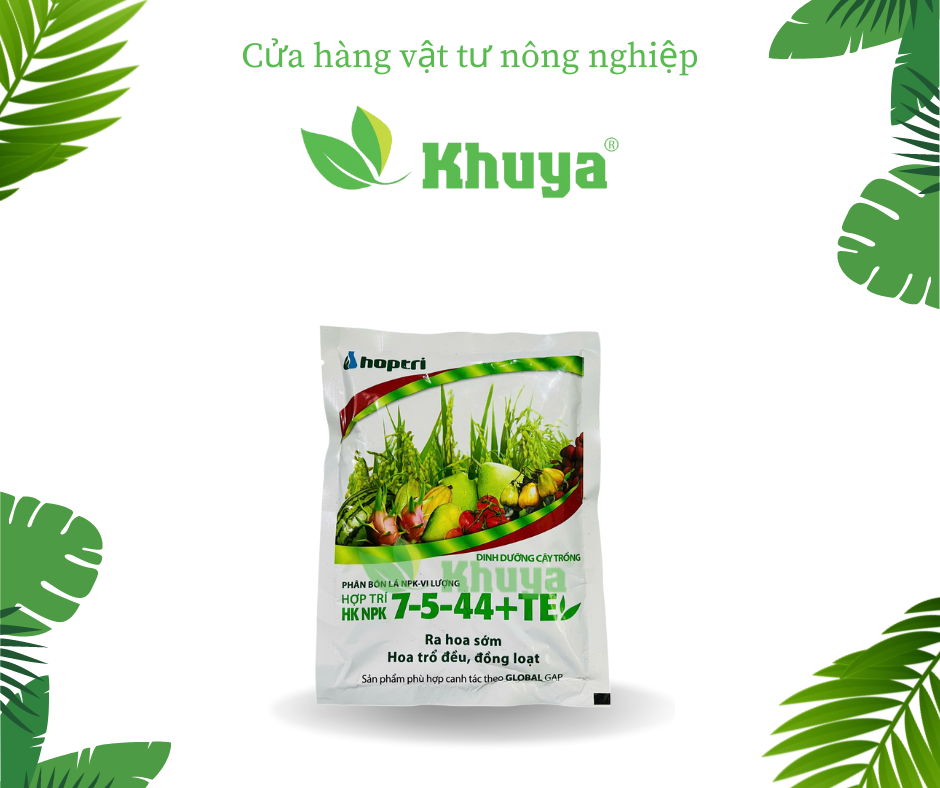 Phân bón Hợp Trí HK NPK 7-5-44 TE 250gr Ra hoa sớm Hoa trổ đều đồng loạt