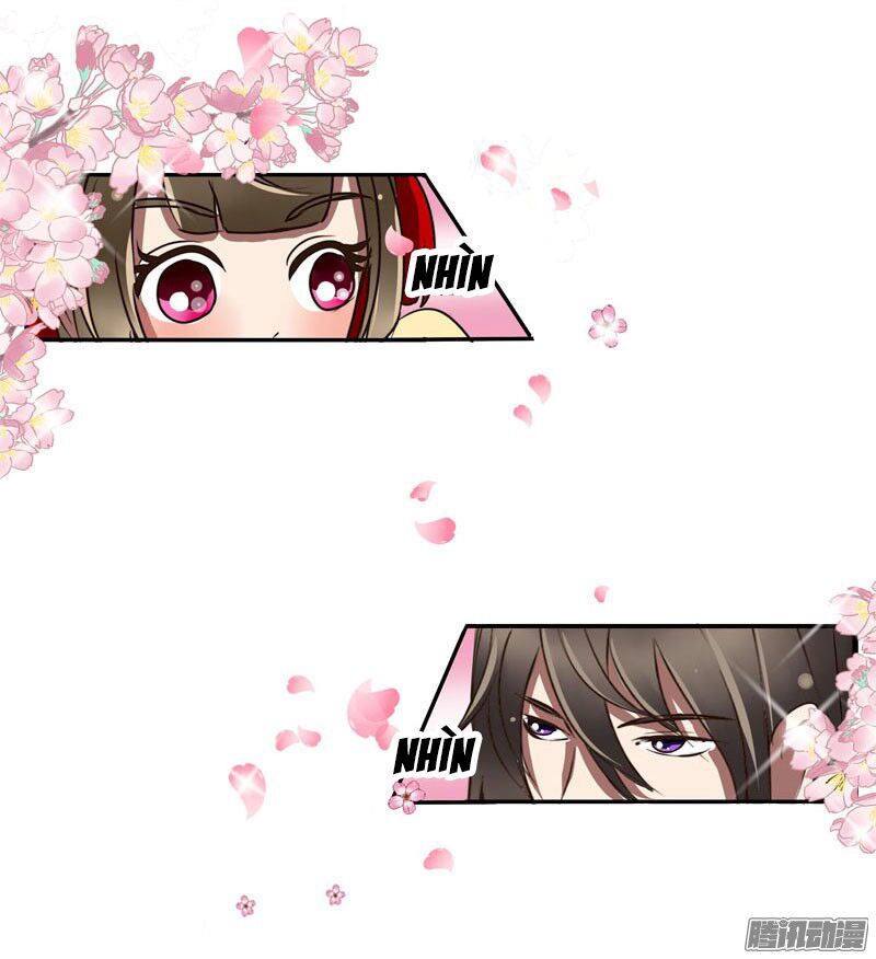 thông linh phi chapter 38.5 23