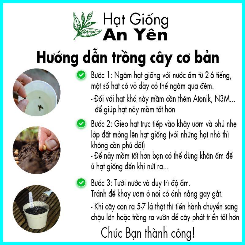 Hạt giống Mồng Tơi thu hoạch sớm, dễ trồng, nảy mầm cao, sinh trưởng khoẻ