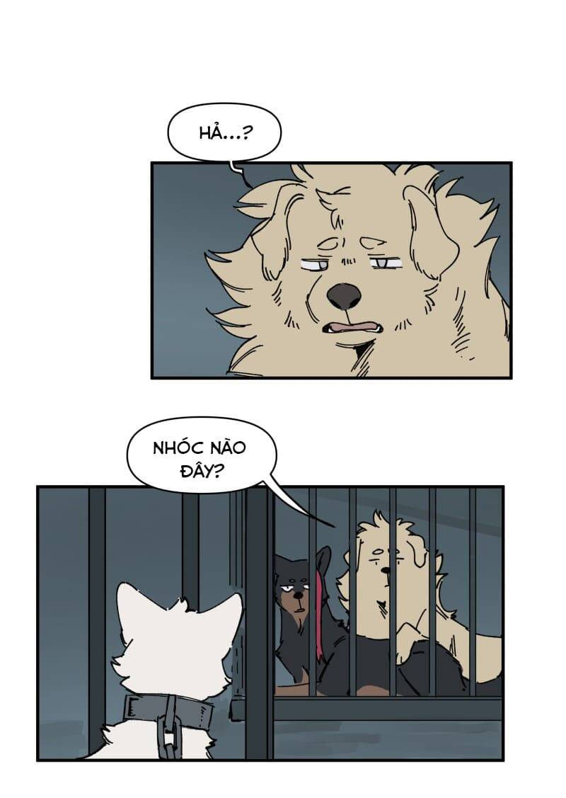 lumine - cội nguồn ánh sáng chapter 143 12