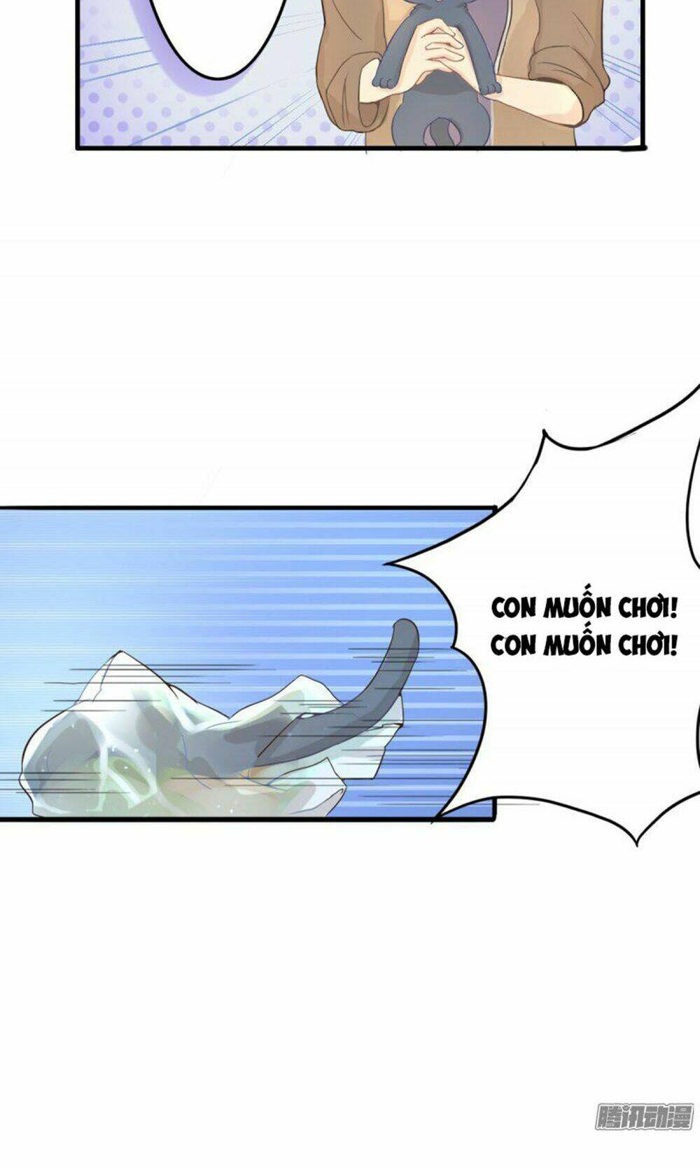 hai chú mèo totem chapter 1 25