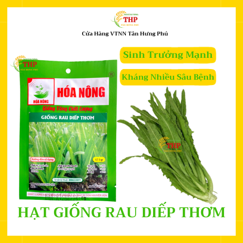 Hạt giống Rau Diếp Thơm | Hạt Giống | gói 5gr