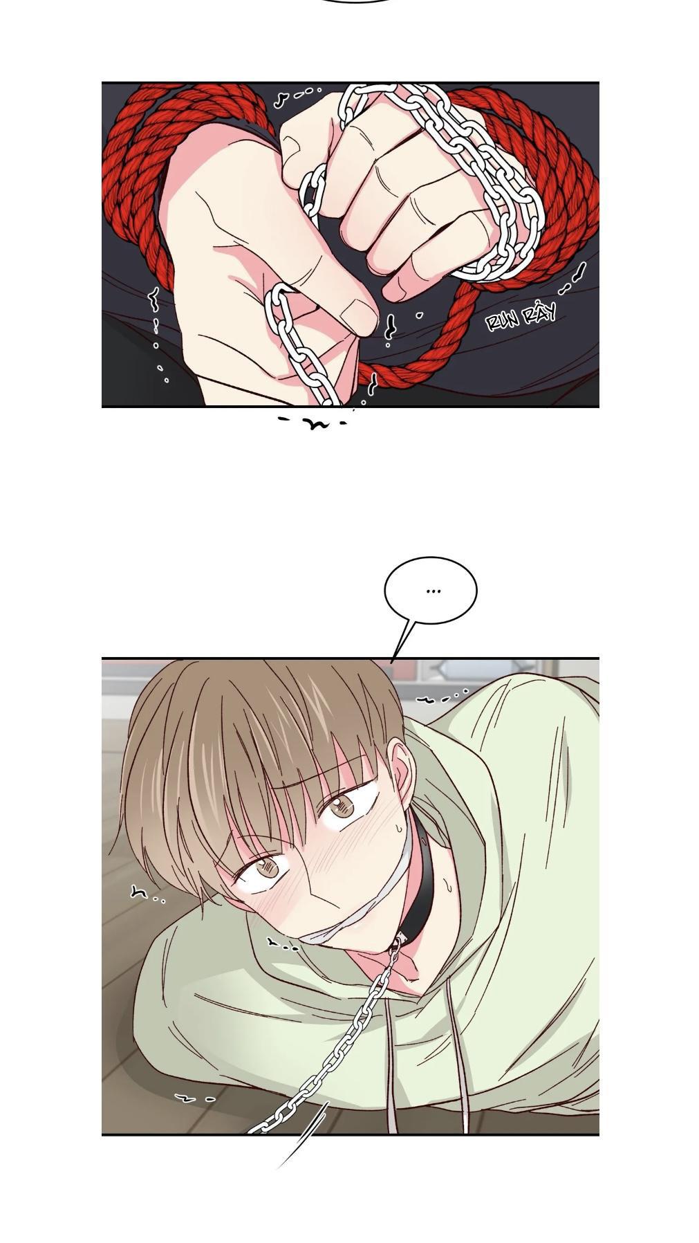 món tráng miệng của sếp tổng chapter 57 20