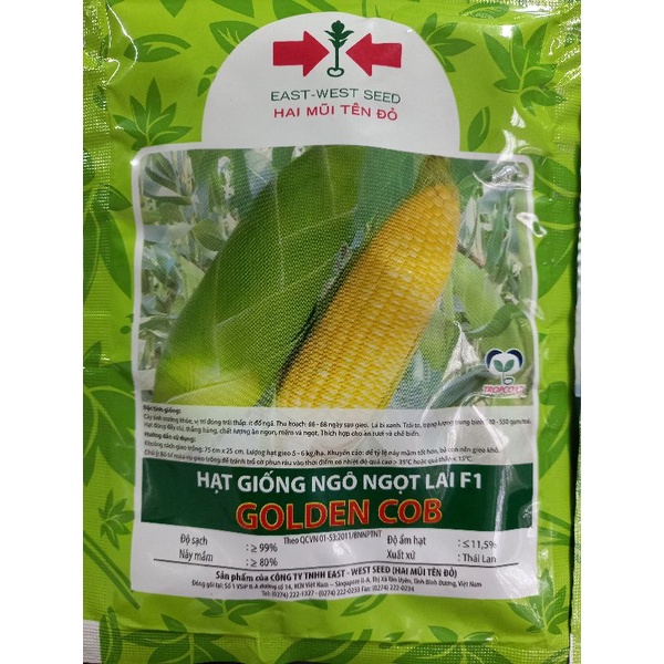 Hạt Giống Ngô Ngọt Lai F1 GOLDEN COB 100gram - Bắp Ngô To Đều Hạt